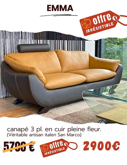 Salon en cuir brun.